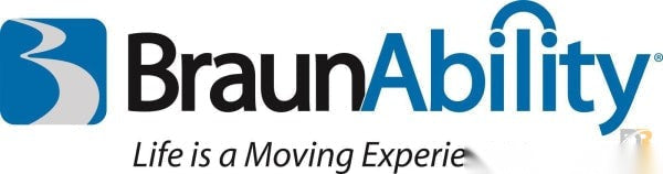 Braun Skid - Rear Barrier 74402-27
