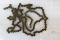 Chain-leaf-2x2-.5 Pitch X 61.5 Kit Shipout 24046-061.5KS