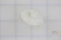 Bearing Uhmw Guide 205-1761