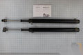 Braun Cylinder Pair 16.499 In. 32.217 Retracted Kit Shipout 403654KS