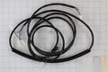 Braun Harness Bridge Inputs NCL_2 Platform Raised Pump Kit Shipout 33373FARPKS