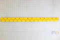 Hinge 2" X 29" SS with Pem Nuts 2 Rows Kit Shipout 36353PSYLKS