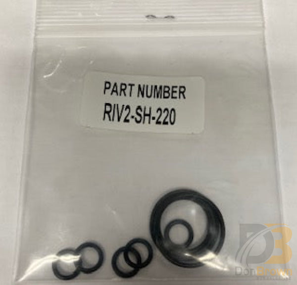 Ricon Seal Kit,pump,manual Back-up RIV2-SH-220